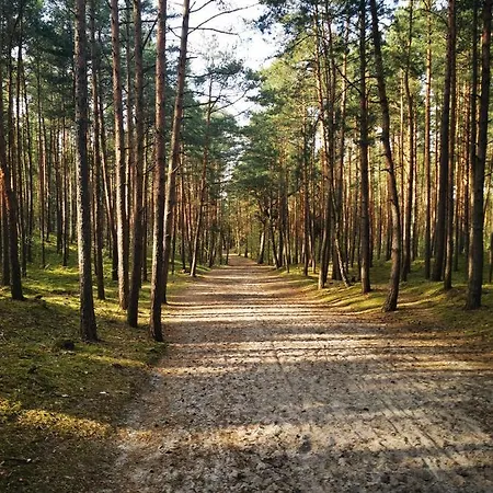 M&k Przytulny Z Tarasem - Wyspa Sobieszewska Appartamento