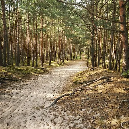 M&k Przytulny Z Tarasem - Wyspa Sobieszewska 公寓