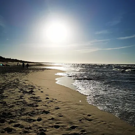 M&k Przytulny Z Tarasem - Wyspa Sobieszewska グダニスク