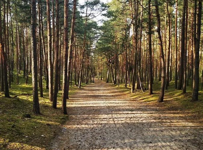 M&k Przytulny Z Tarasem - Wyspa Sobieszewska Apartamento