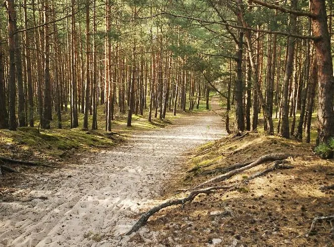 M&k Przytulny Z Tarasem - Wyspa Sobieszewska Apartamento